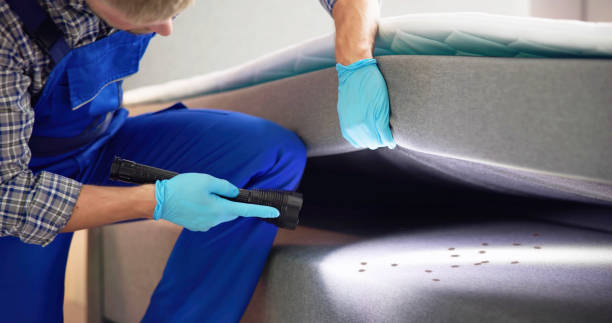 Best Mosquito Control Services  in North Webster, IN