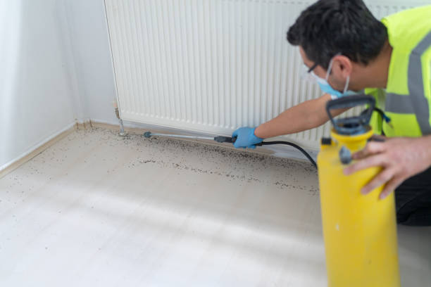 Best Pest Inspection Near Me  in North Webster, IN